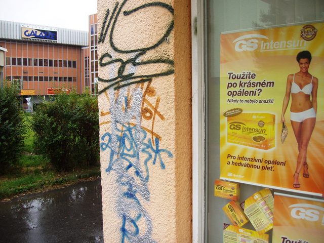 P6020324