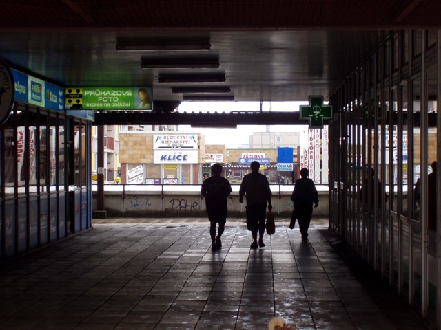 P6020325