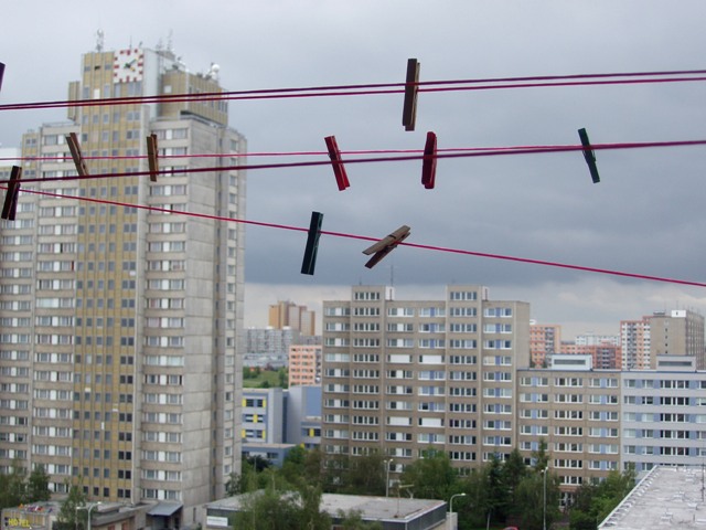 P6020347